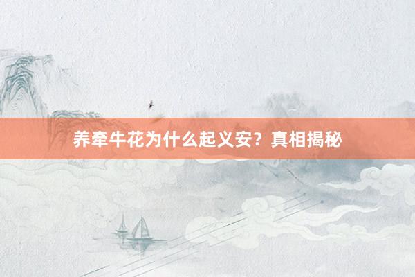 养牵牛花为什么起义安？真相揭秘