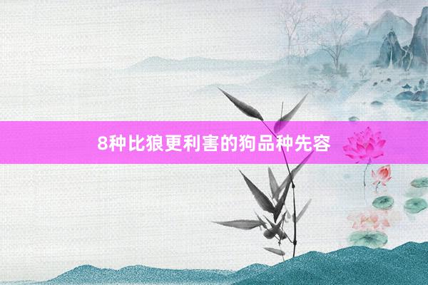8种比狼更利害的狗品种先容