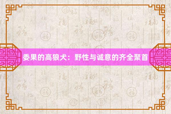 委果的高狼犬：野性与诚意的齐全聚首